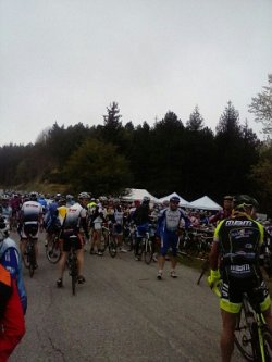 IMG-20140413-WA0015